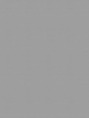 Preview Kodiak Grey BO 3