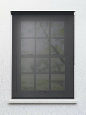 Preview Kiska Dark Shadow 1