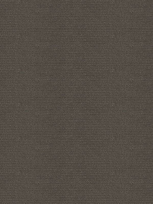 Preview Whidbey Chocolate BO 3