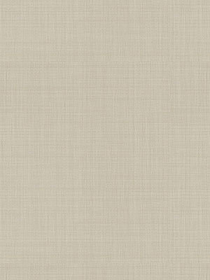 Preview Rosa Shifting Sand 3