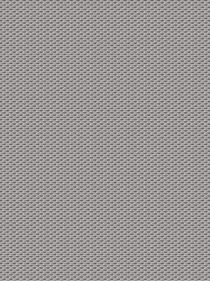 Preview Kosciusko Silver 3