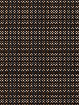 Preview Kosciusko Copper 3